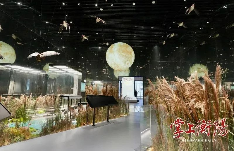 尊龙凯时官网版登录·(中国)官网
