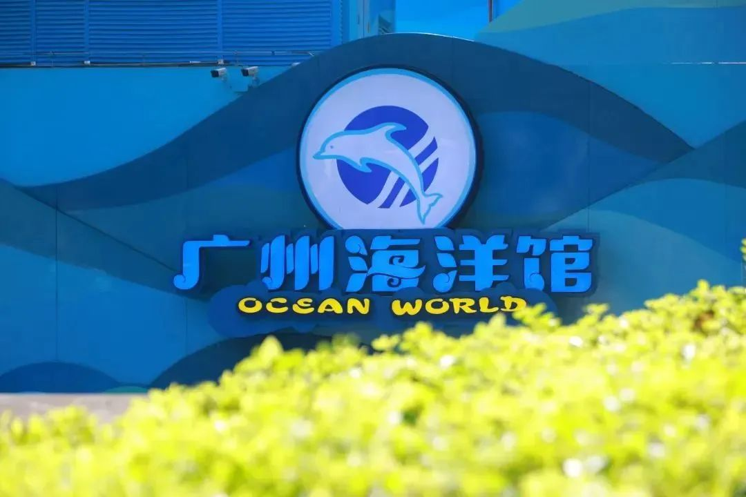 尊龙凯时官网版登录·(中国)官网