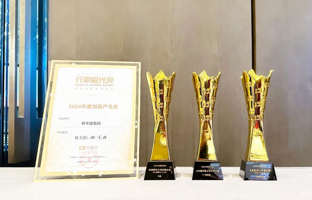 霸榜 | 四大榜单尽数席卷，尊龙凯时官网版登录一连五年斩获“极光”大奖